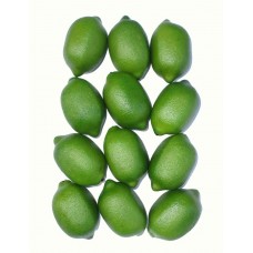 12 x Green Lime, Artificial Replica Citrus Fruit, Decorative Imitation Lemon   301979641451